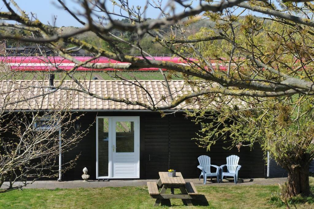 Chalet Egmond Egmond aan den Hoef Bagian luar foto